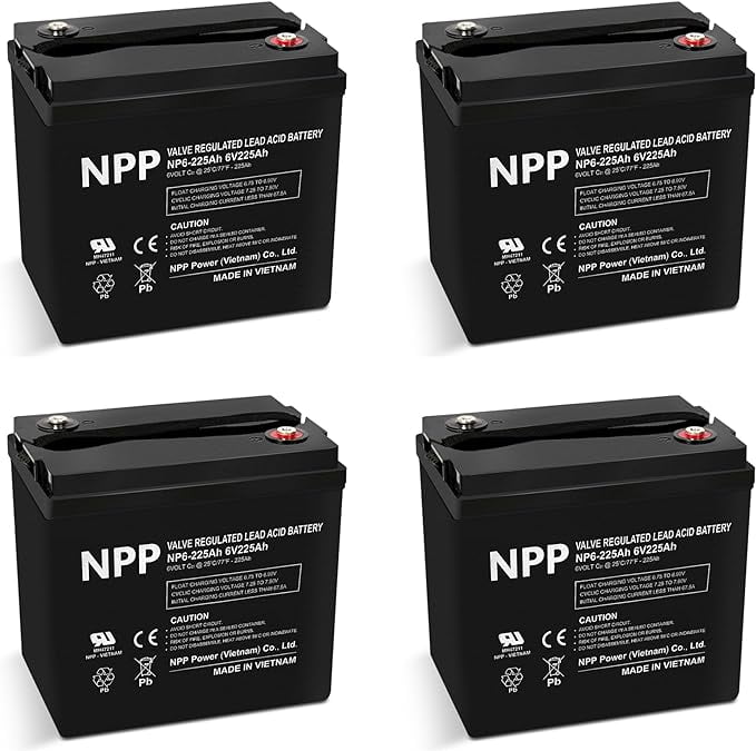 Best 6v golf cart battery